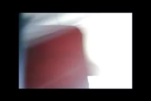 脱衣舞从蓝迪