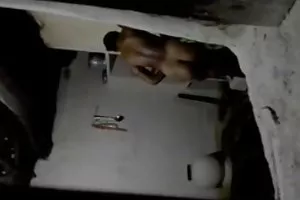 他妈的丰富的摩洛伊斯兰解放阵线