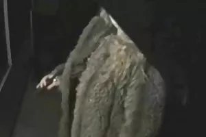 一个强大的喷气式的精子