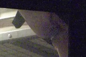 私人色情网站的俄罗斯