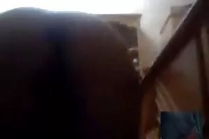 玩一个剃毛孔