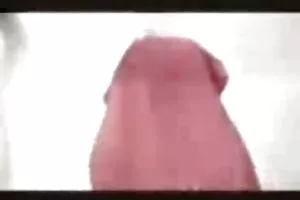 色情业余的
