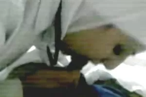 年轻拾薯条阿帕陶小鸡后面的车库的祖母
