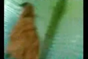 这个女人喜欢她的儿子