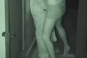 脂肪和瘦