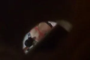 年轻的男人乱搞一个沐浴Erica Fontes对野生海滩
