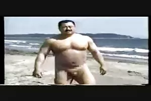 冉冉升起的新星埃琳娜的猫的生活和性别在美国