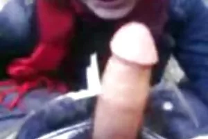 在树林里散步