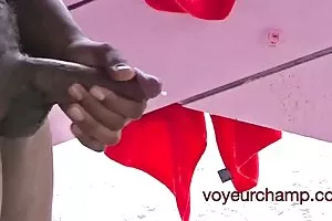 敲打的拉丁猫