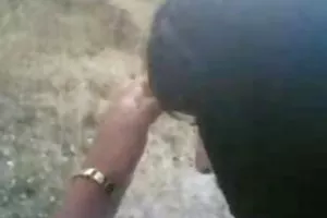 愚蠢的天真