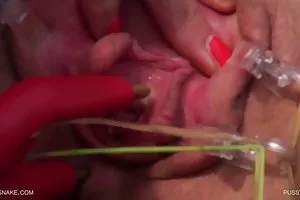 金发碧眼的脂肪享有大的阴茎的客人