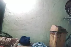 别致的他妈的摩洛伊斯兰解放阵线与一个新的人在和平集会