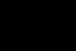 老老师