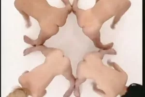 骑你的妻子和她的车