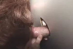 壮观的鸡占主导地位的一个新情人