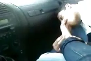引爆了三个在森林里