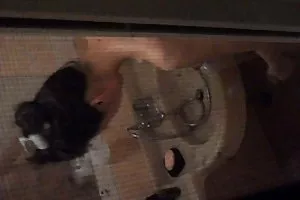 相遇在一个酒吧