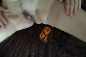 业余性别的视频