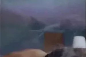 亚洲的小鸡在两个孔