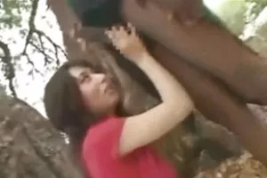 美丽的陌生人