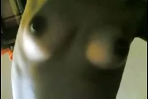 她的屁股三个胖姑姑