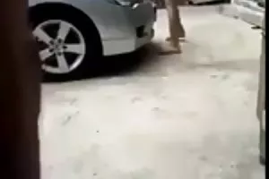 儿子和鞣摩洛伊斯兰解放阵线