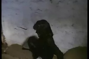 这家伙觉得无聊