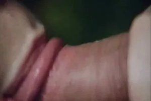 在gladkovybrityh猫