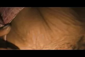 一些色情故事