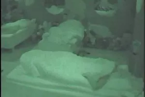 可爱的拉丁，对与一个黑人